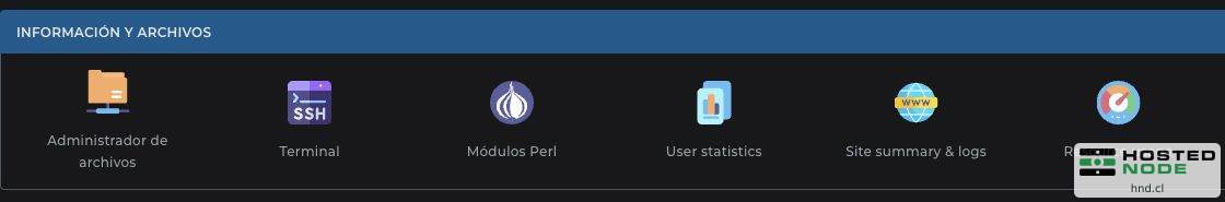 Detalhe de Informações e arquivos com Gerenciador de arquivos, Terminal, estatísticas, logs e uso de recursos.