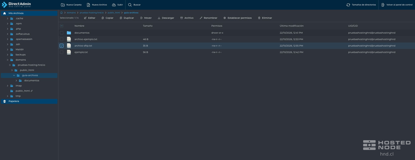 File Manager showing the path to a site folder, its files, and the toolbars.