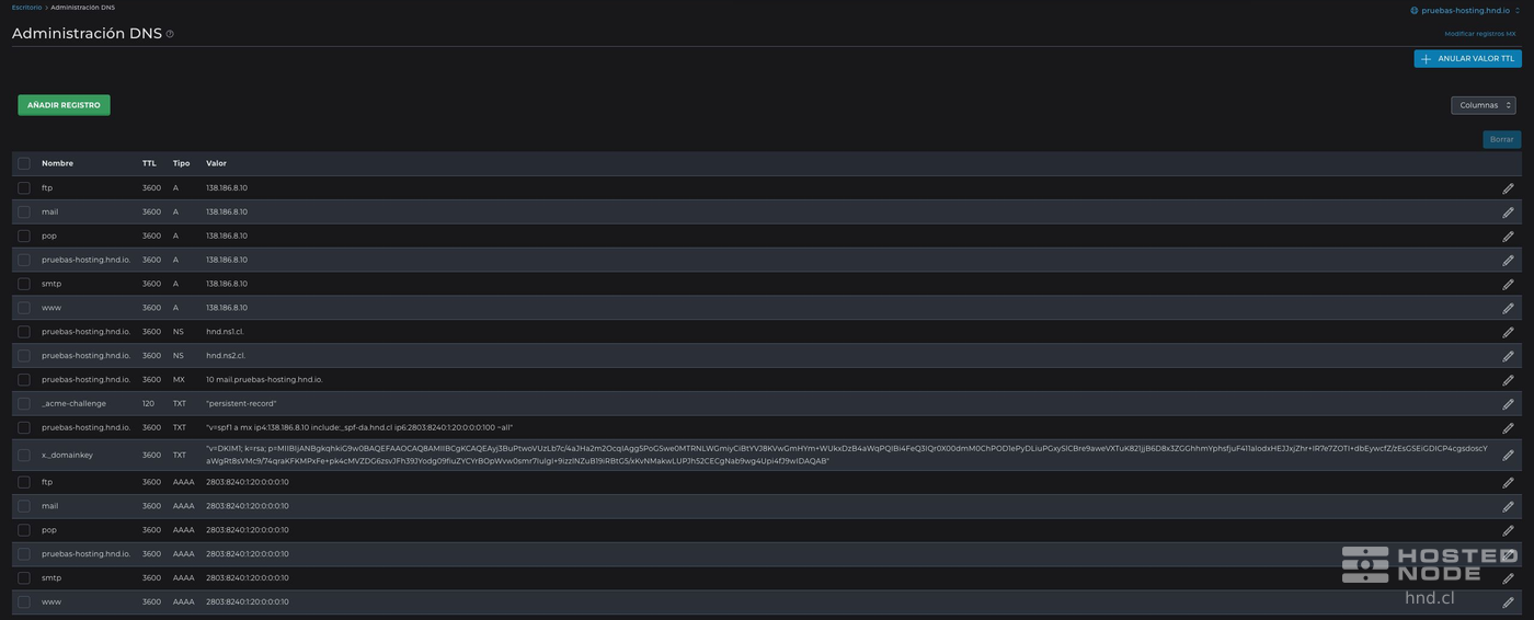 Tabla de Administración DNS con el dominio seleccionado y los registros TXT existentes.