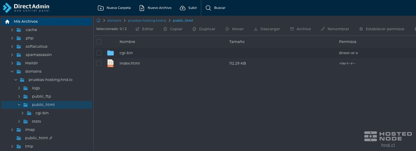 File Manager showing the path through domains, the domain, and public_html, along with the website files.